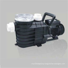 IP55 Standard Patened Internal Heat Swimming Pool Water Pump